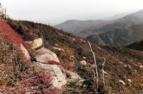 view from Cannon Mountain Aerial Tramway